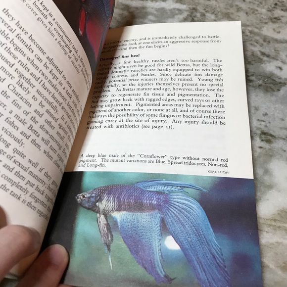 Know your bettas book - Picture 2 of 4